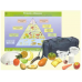 Kit Mala Completa de Réplicas de Alimentos + Banner em Vinil da Pirâmide Alimentar + CD Nutricional + Kit de Medidores + Prato 